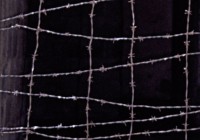 /album/jimi-/cambogia-camere-di-tortura-jpg/